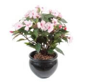 Impatiens rose piquet 40 cm