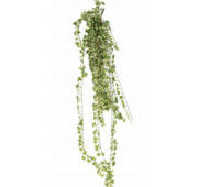 Lierre 130 cm
