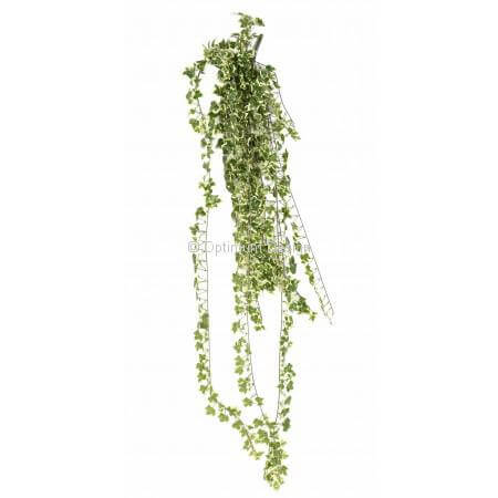 Lierre 130 cm