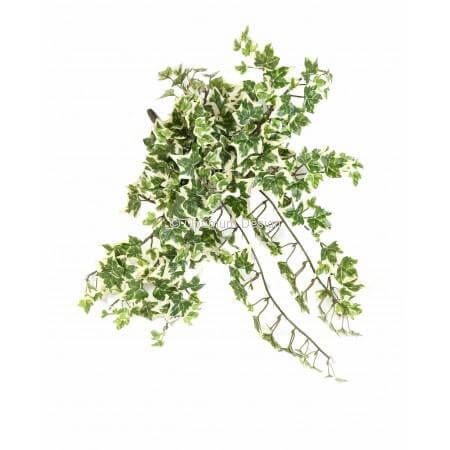 Lierre 35 cm