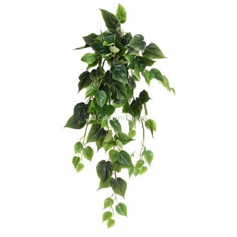 Philo vert 80 cm