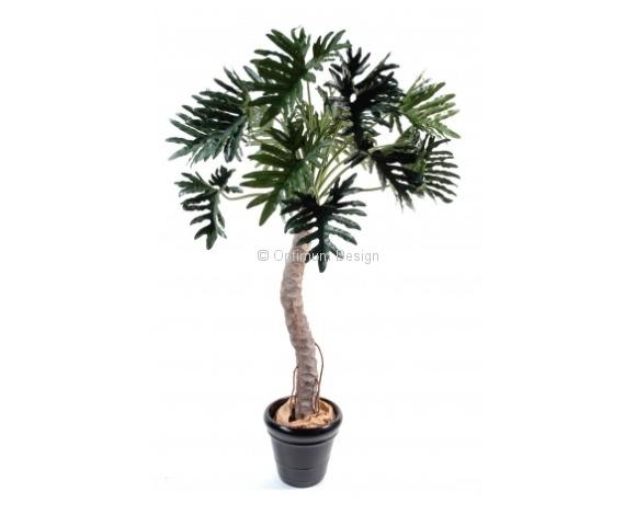Philodendron selloum luxe 210 cm