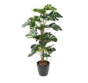 Philodendron tuteur coco 160 cm