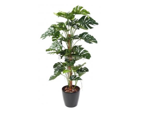 Philodendron tuteur coco 160 cm