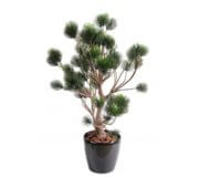 Pin garigue 90 cm