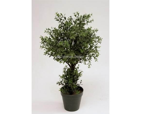 Thé luxury 60 cm 