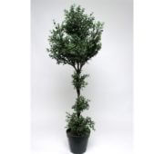 Thé Luxury en pot 100 cm