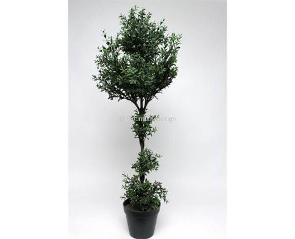 Thé Luxury en pot 100 cm