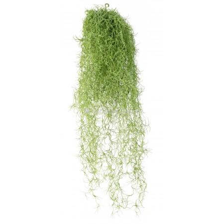 Tillandsia effet mousse 60 cm