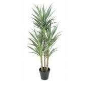 Yucca 150 cm