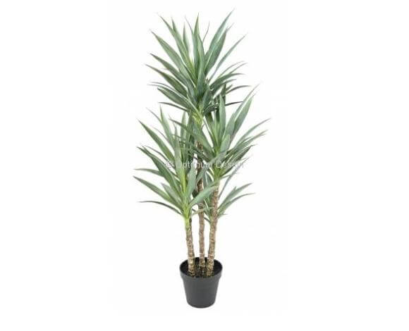 Yucca 150 cm