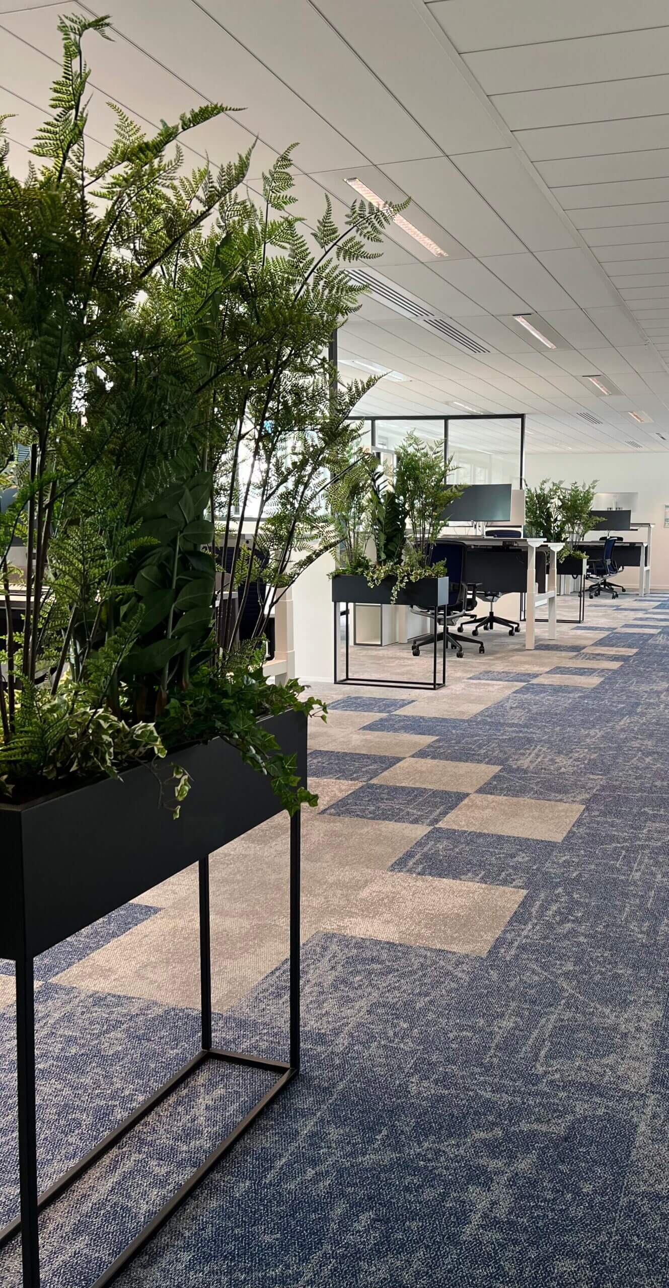 arbres et plantes, décoration végétale, Optimum Design