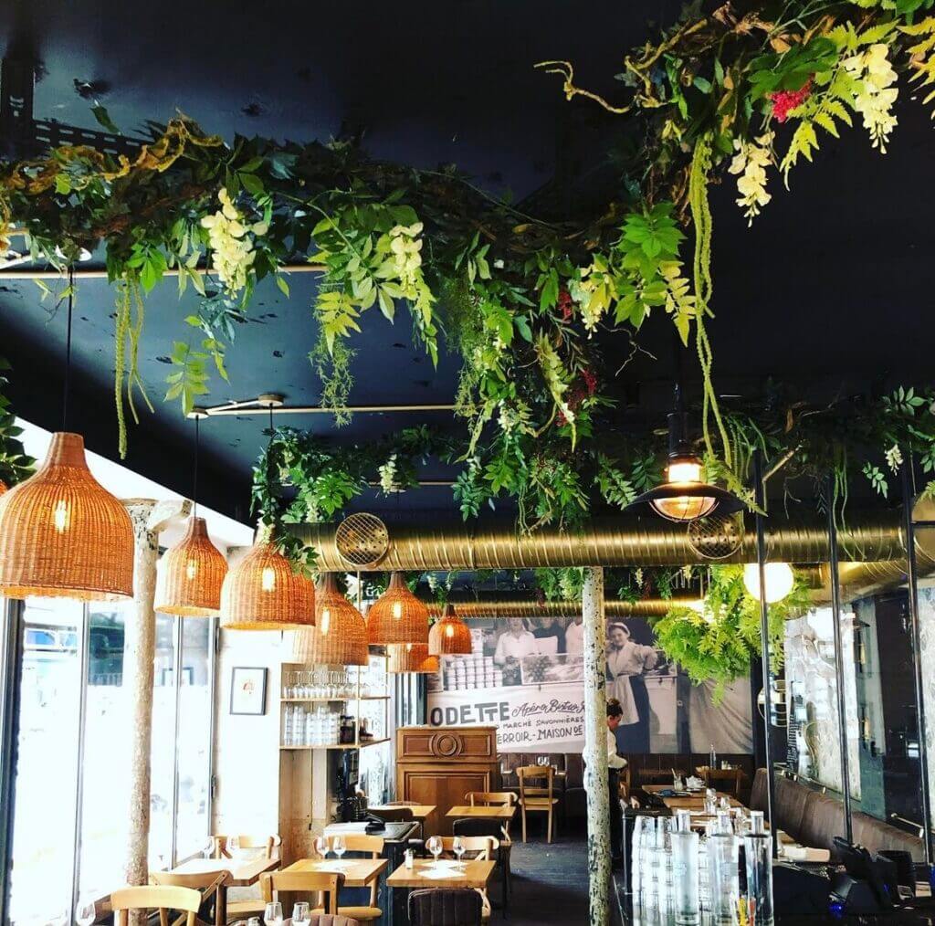 déco végétale, Optimum Design