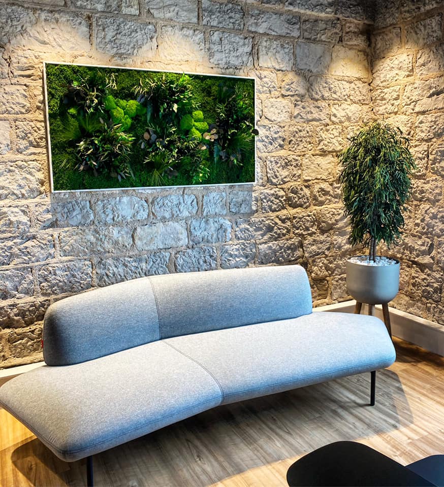 tableau végétal, mur végétal, Optimum Design